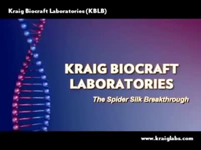 The Spider Silk Breakthrough
