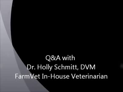 Dr. Holly Schmitt UltraOZ Q&amp;A