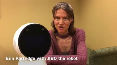 JIBO the robot