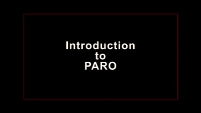 Introduction to PARO