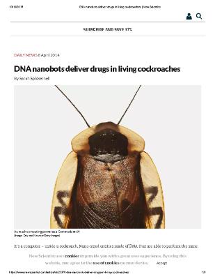 DNA nanobots deliver drugs in living cockroaches