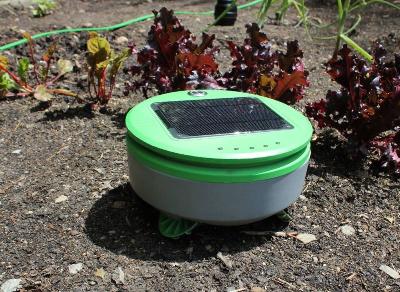 Tertill: The solar powered weeding robot for home gardens