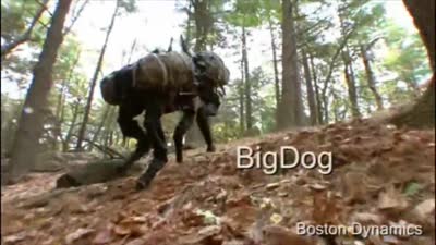 BigDog Overview