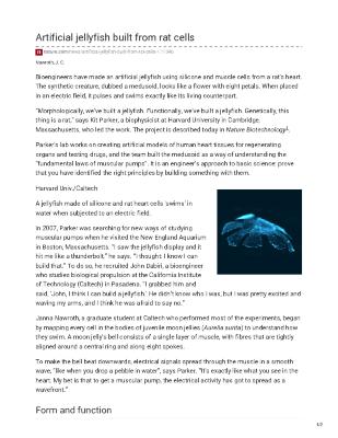 Artificial jellyfish built from rat cells