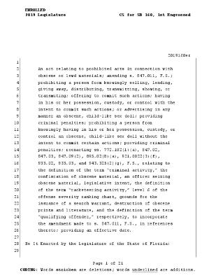Florida CS/SB 160: Prohibited Acts in Connection with Obscene or Lewd Materials