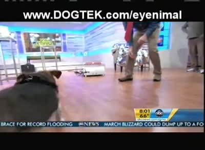 DOGTEK Eyenimal - Global Pet Expo's top product on Good Morning America ABC with Dr. Marty Becker